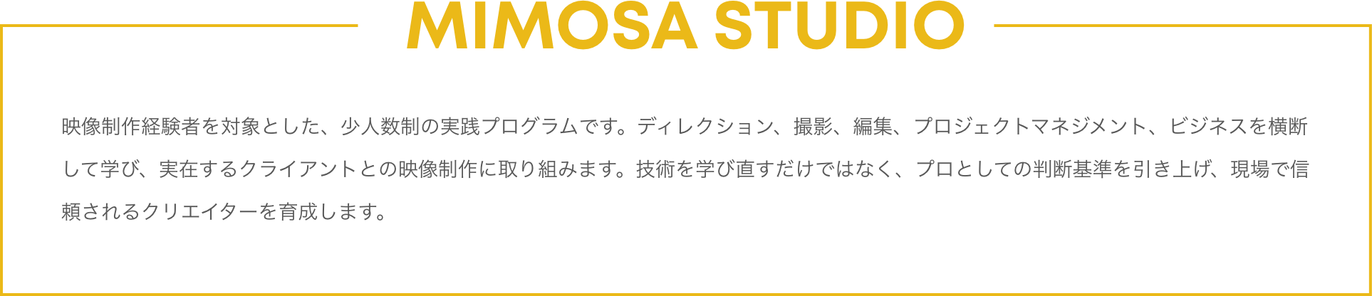 MIMOSA STUDIO